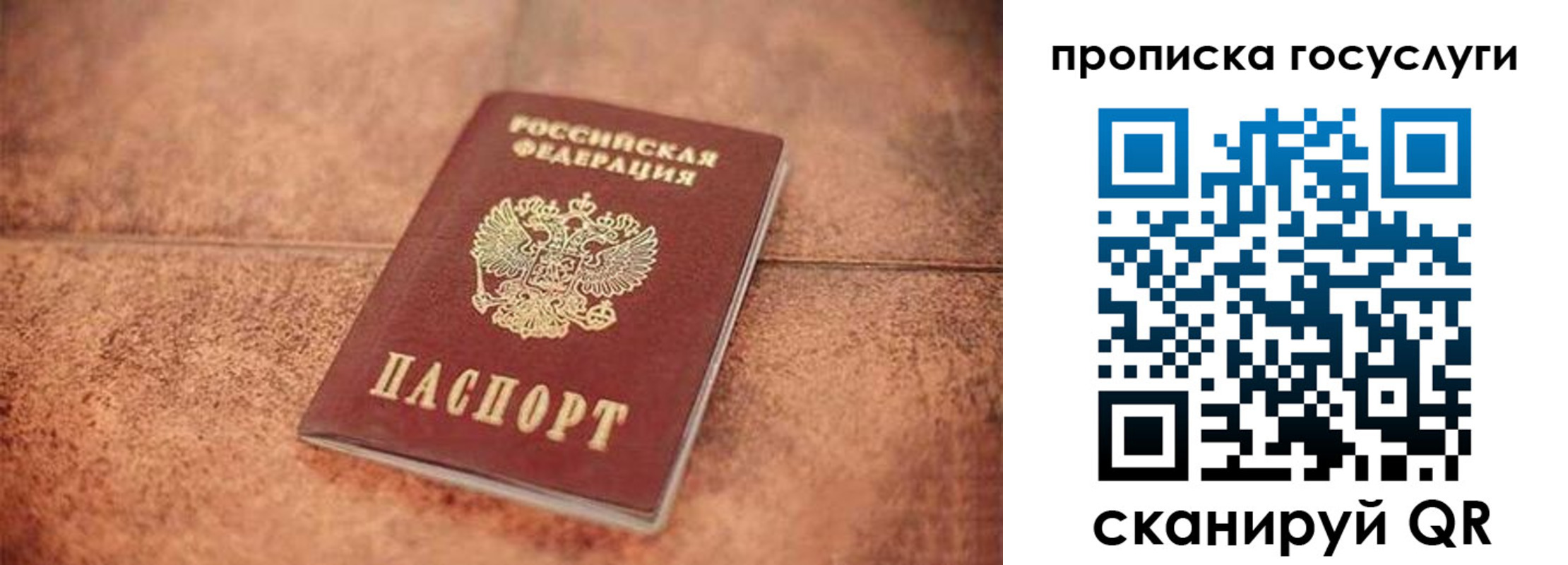 прописка законно в Сланцах